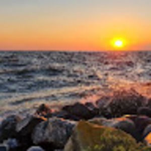 Meet your Posher, Owen